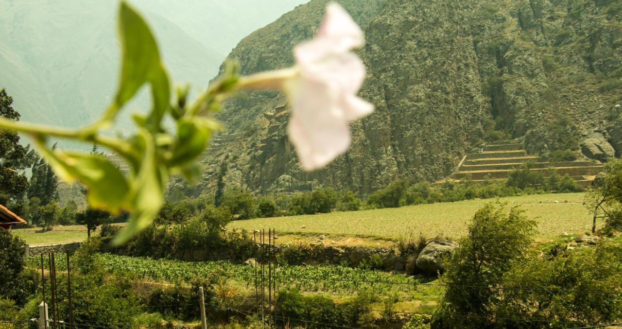 Inka Khawarina Tambo Lodge Ollantaytambo Dış mekan fotoğraf